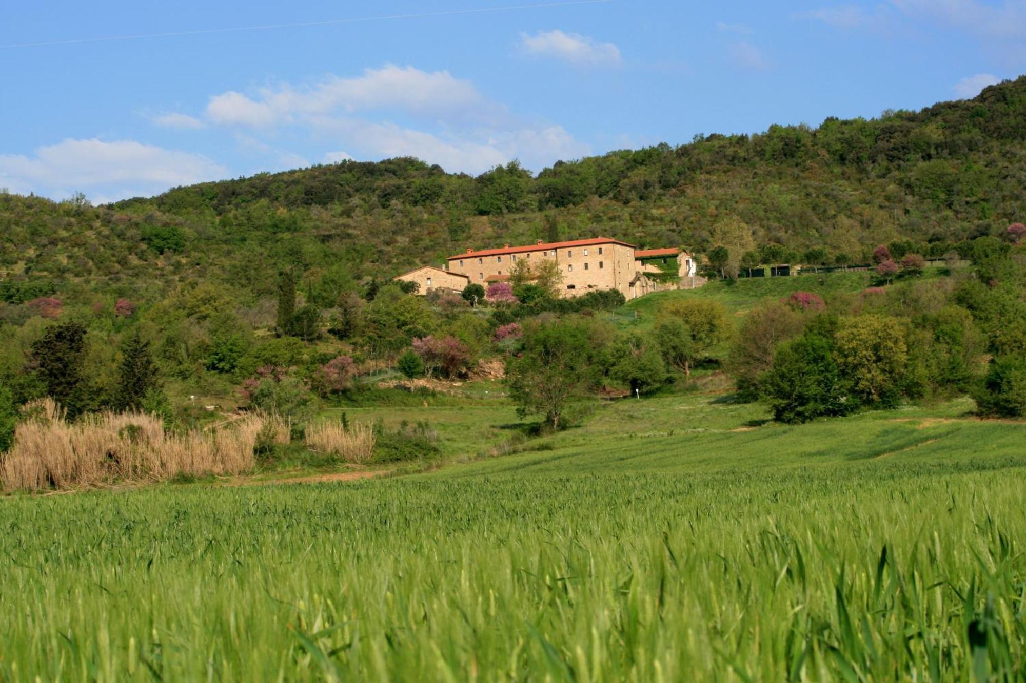 Agriturismo San Ottaviano Monterotondo  Luaran gambar